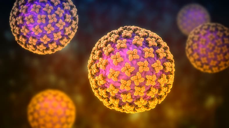Large purple balls with orange spots sticking out to show the molecules of the hanatvirus